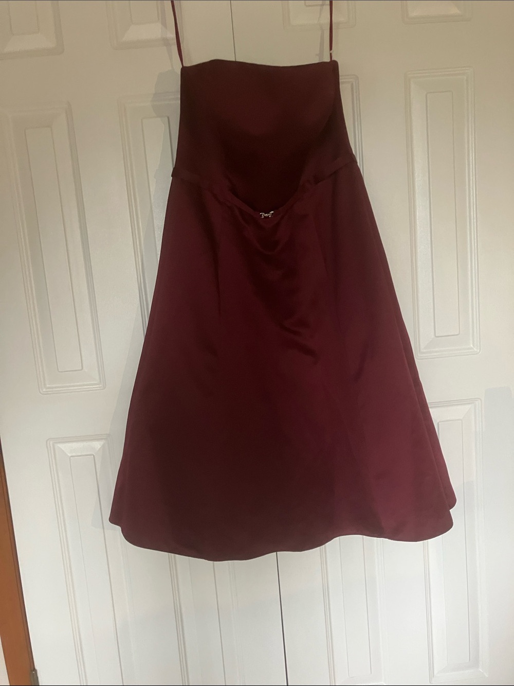 Michaelangelo Strapless A-Line Dress in Wine